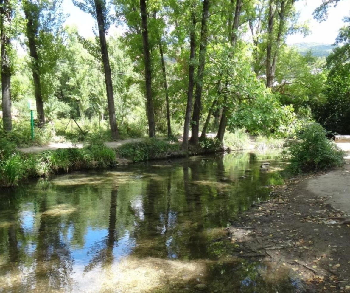 Mi Casita Del Bosque Villa Luaran gambar